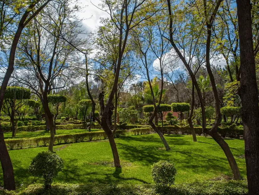 The peaceful Moulay Abdel Salam Square Park, a green oasis in Marrakesh.
