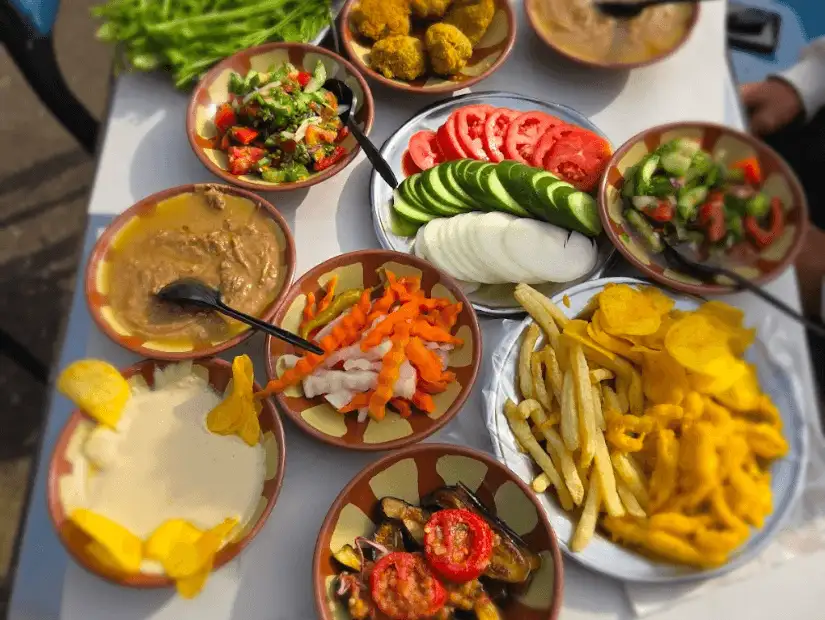 مطاعم ناصر الفيومي.png