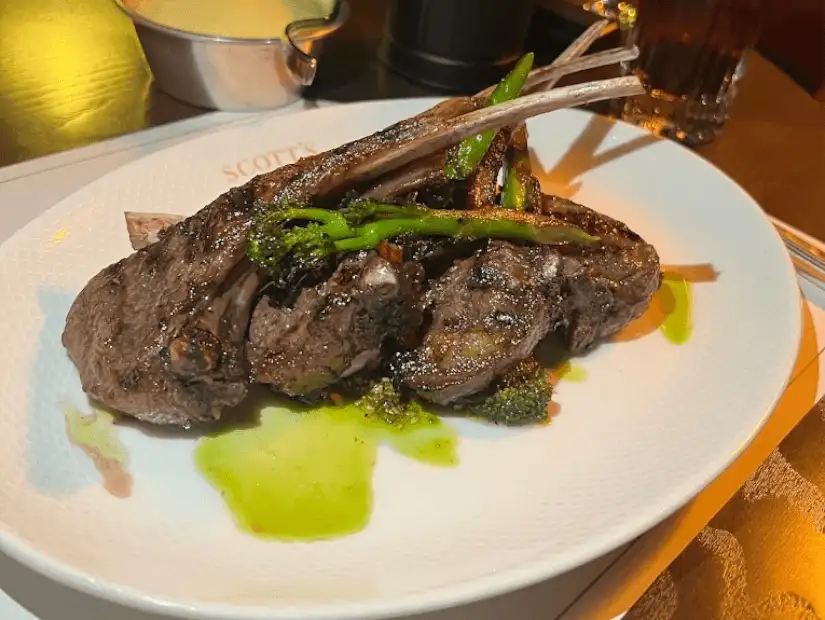 مطعم سكوتس.png