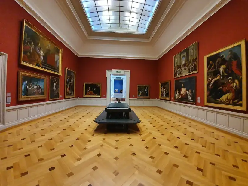 متحف الفن والتاريخ.webp