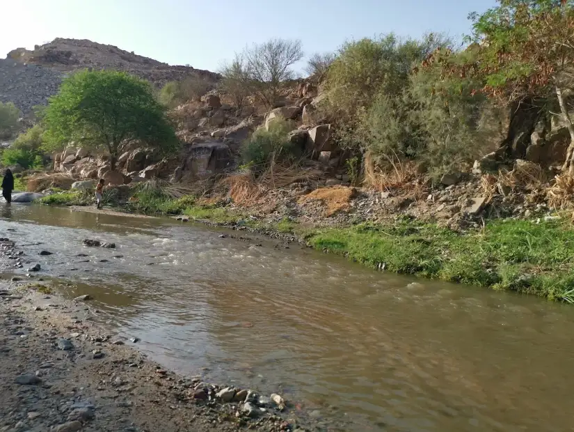متنزه سيسد الوطني.webp