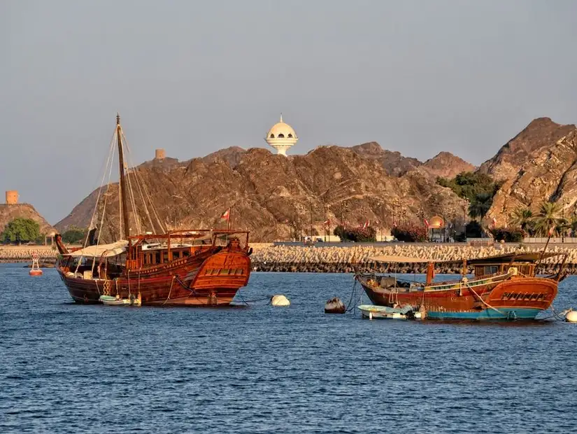 muscat4.jpg