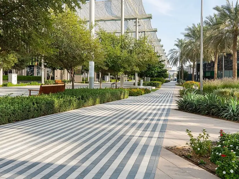 Shaded pathways lined with tall palm trees at Mushrif Park.