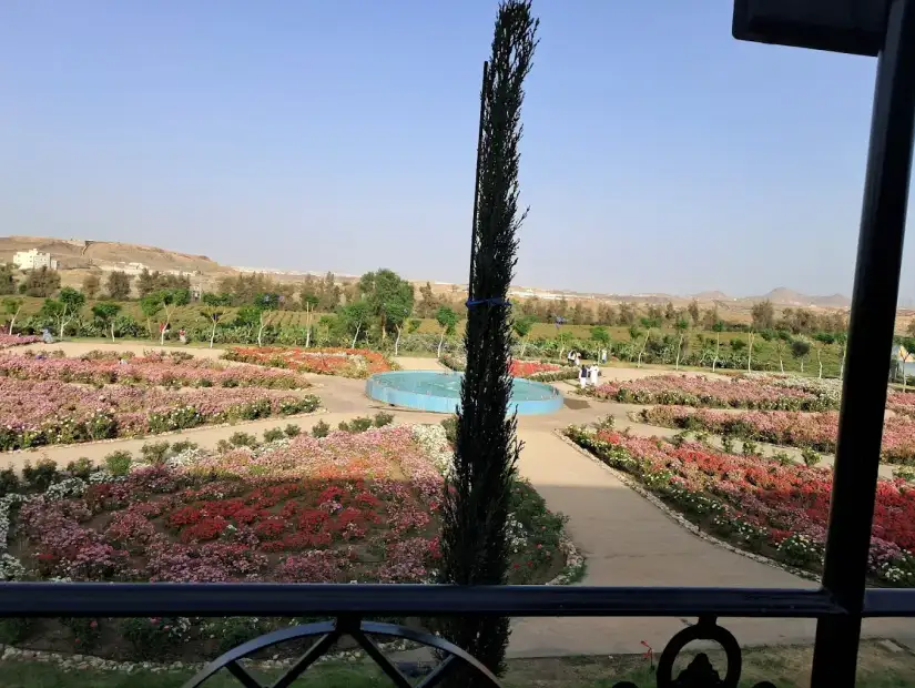 مزرعة ورد الطائف.webp