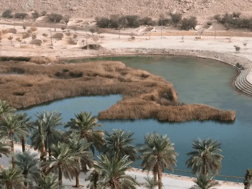 An aerial view of Wadi Namar’s palm groves and serene waters.