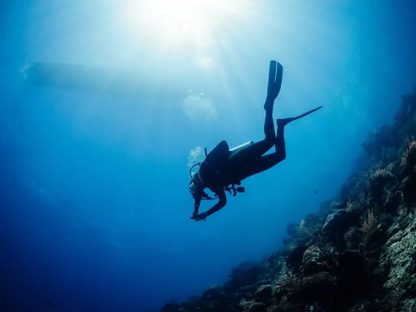 Diver exploring the deep blue sea.