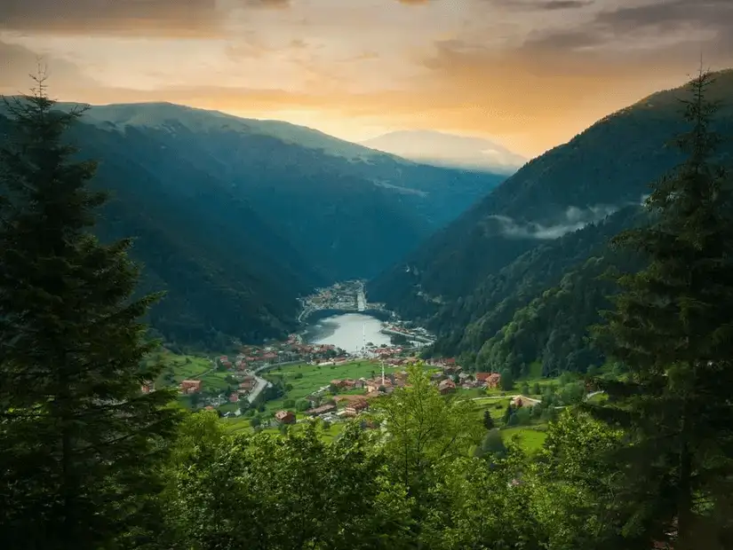 A serene, lush green mountain view from the northern part of Turkey.