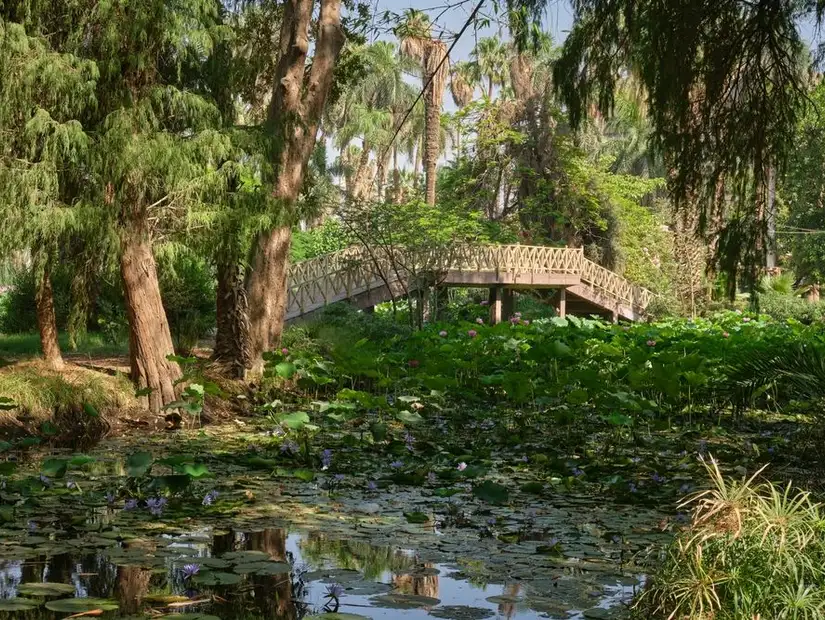 orman garden.jpg