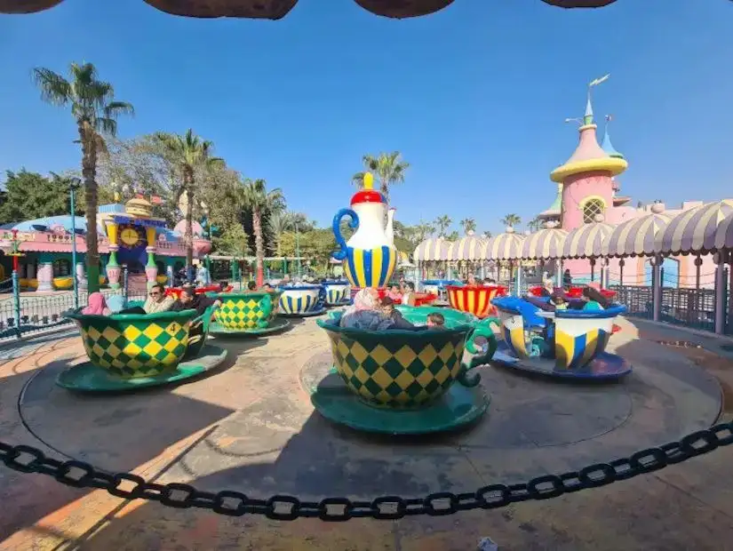 happy kids in a theme park ride