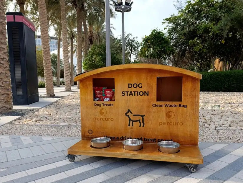 pet-friendly-dubai3.jpg
