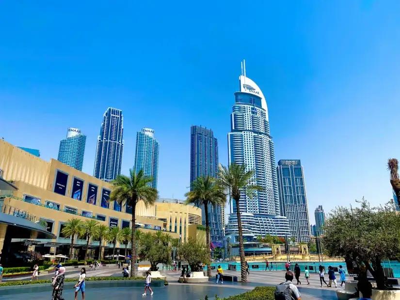 قارب البجع.webp