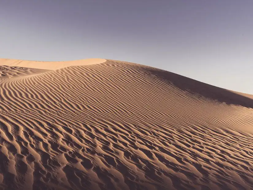 سفاري صحراء الدوحة