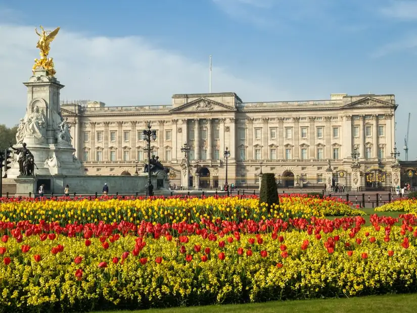 قصر بكنغهام.jpg