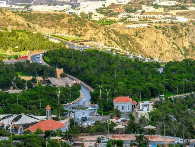 A vibrant aerial shot of Raghadan Forest’s landscape and roads.