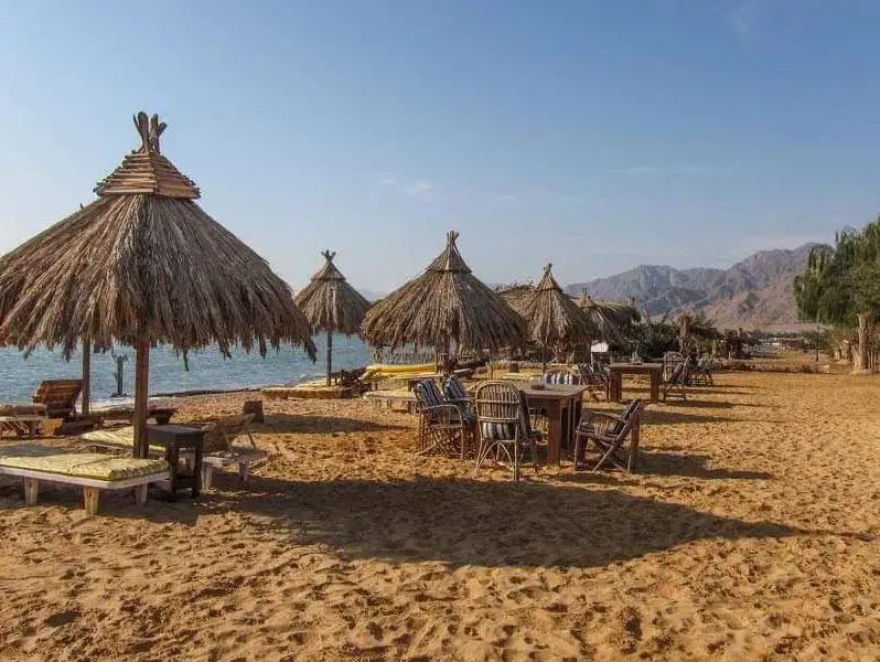رأس الشيطان.webp