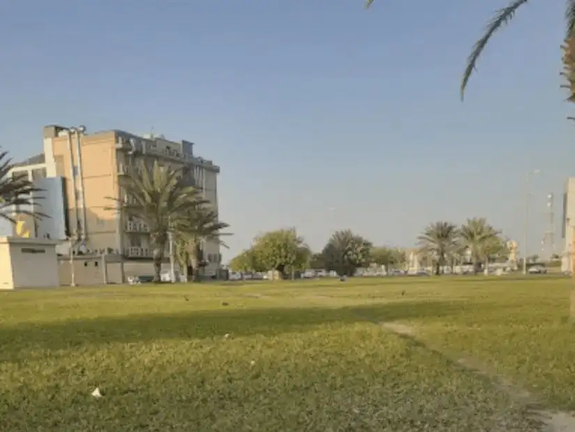 A serene park setting with lush greenery and a prominent building in the background.