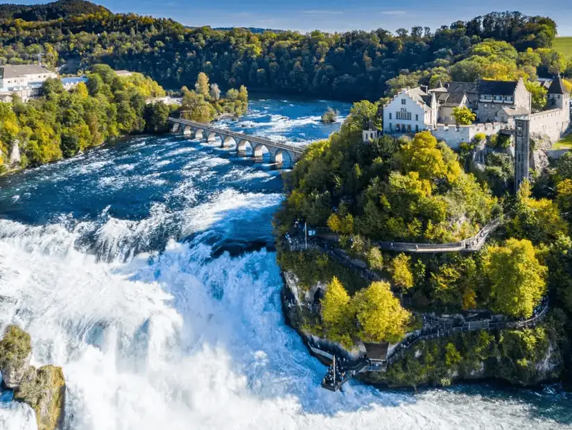 The majestic Rhine Falls with surrounding lush greenery.