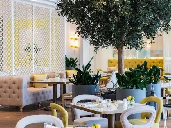 Rhodes W1 offers a refreshing, contemporary dining experience with a touch of nature.