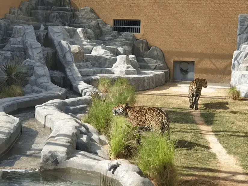 riyadh_zoo3.jpg