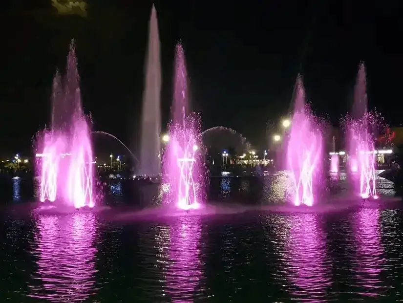 Colorful illuminated fountains at night in a park.