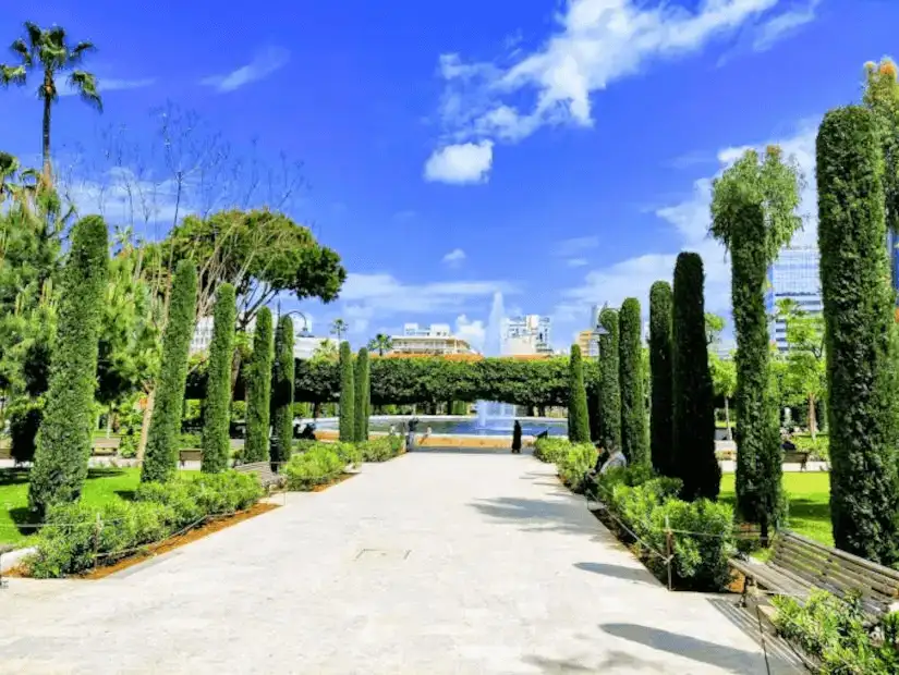 A long, scenic walkway lined with tall trees, leading to a central fountain.