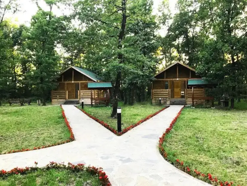 A peaceful setting with wooden cabins nestled in nature, perfect for a relaxing getaway.