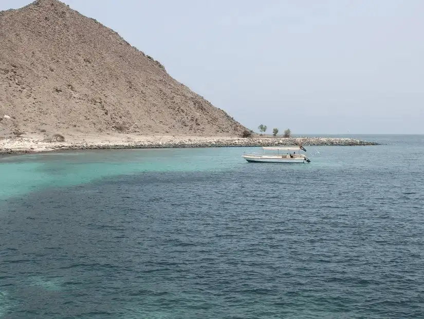 shark_island.jpg
