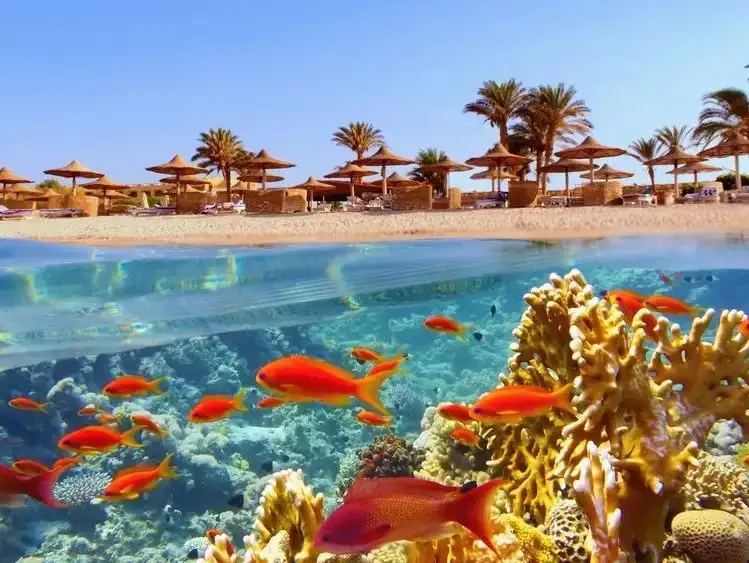 sharm-el-sheikh