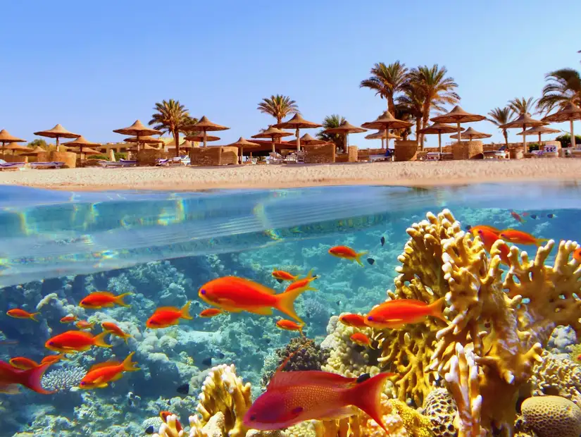 sharm-el-sheikh.jpg