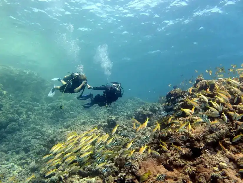 sharm-el-sheikh-egypt