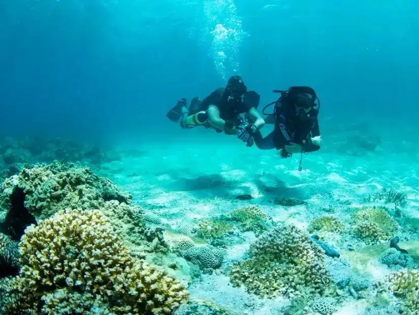 sharm-rocks-uae