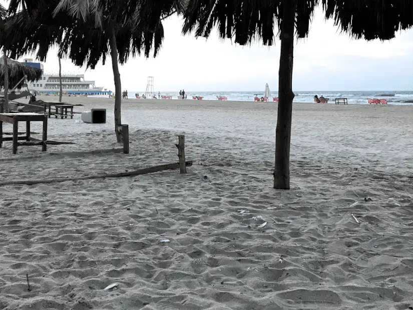 شاطئ Port said beach.png