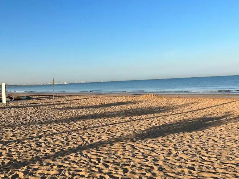 شاطئ الفلامنجو.jpg