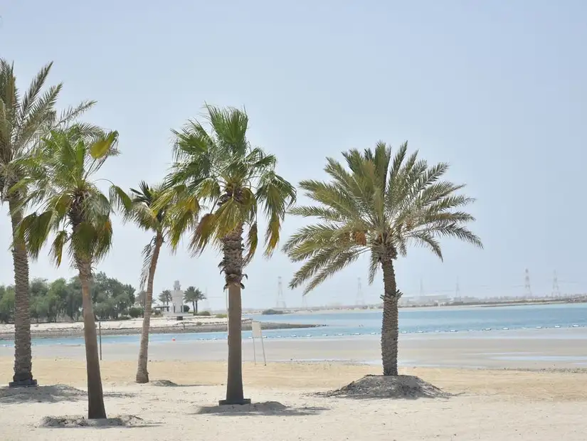 شاطئ المرفأ ابو ظبي.jpg