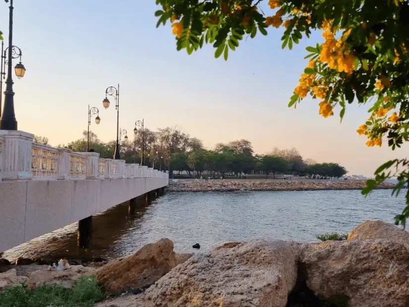 شاطئ النخيل.png