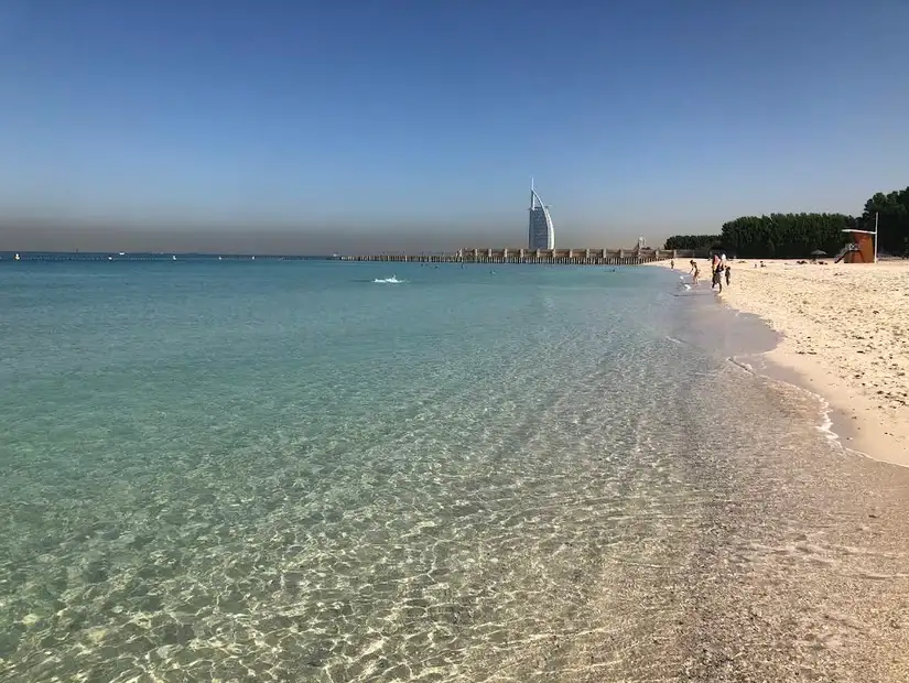 شاطئ الصفوح.jpg
