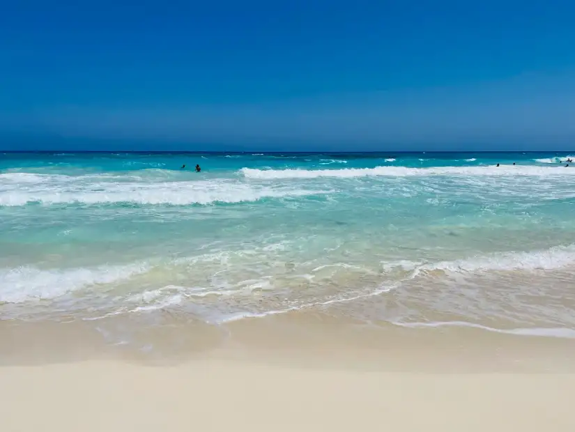 شاطئ أم الرخم.webp