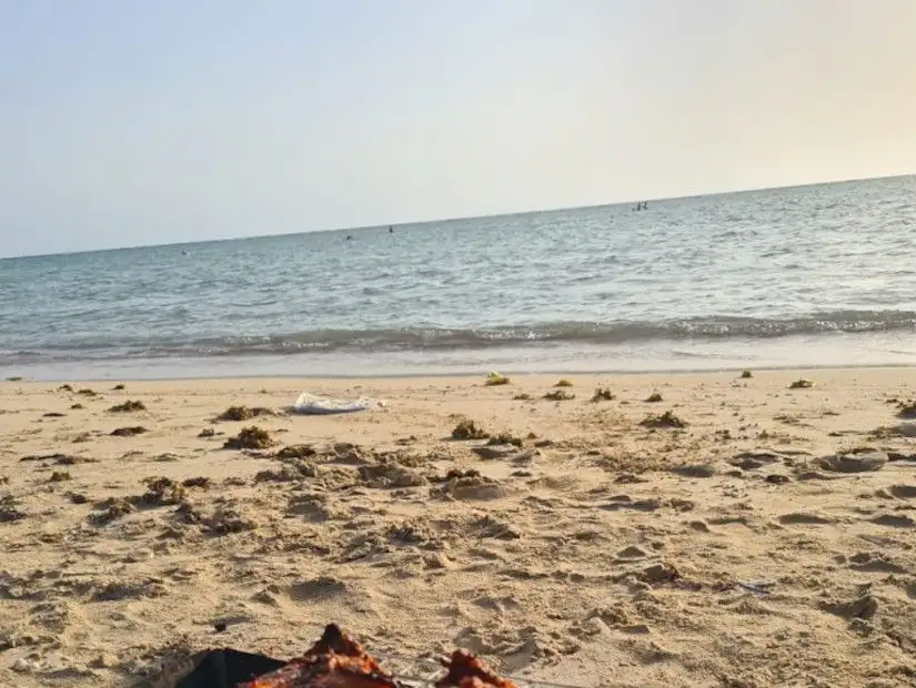 شاطئ خليج سلمان