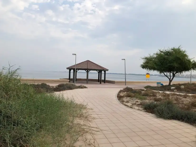 شاطئ طيبة.webp