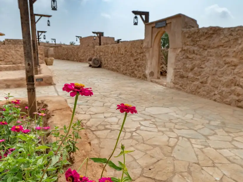 جازان