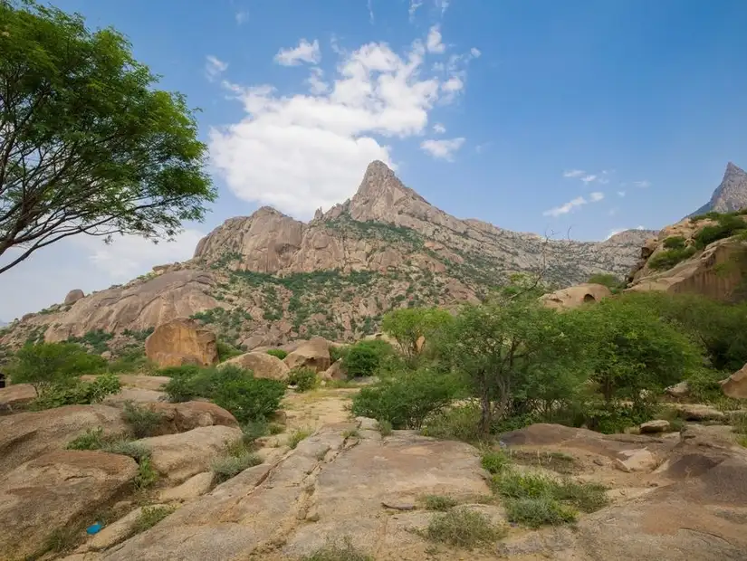 محمية جبل شدا الأعلى