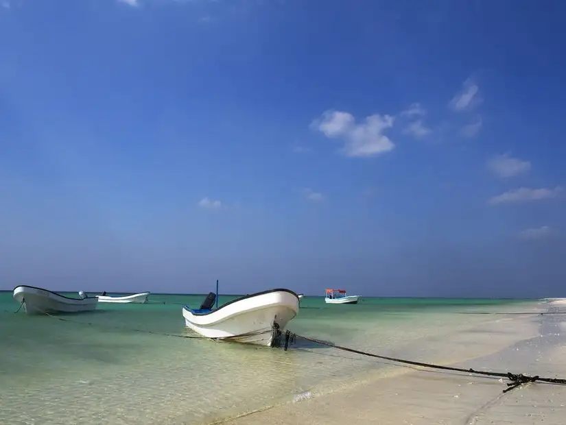 shutterstock_358290668.jpg