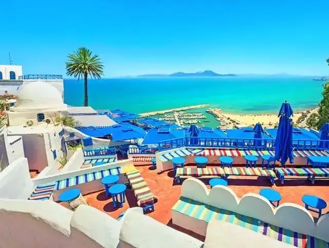 sidibousaid