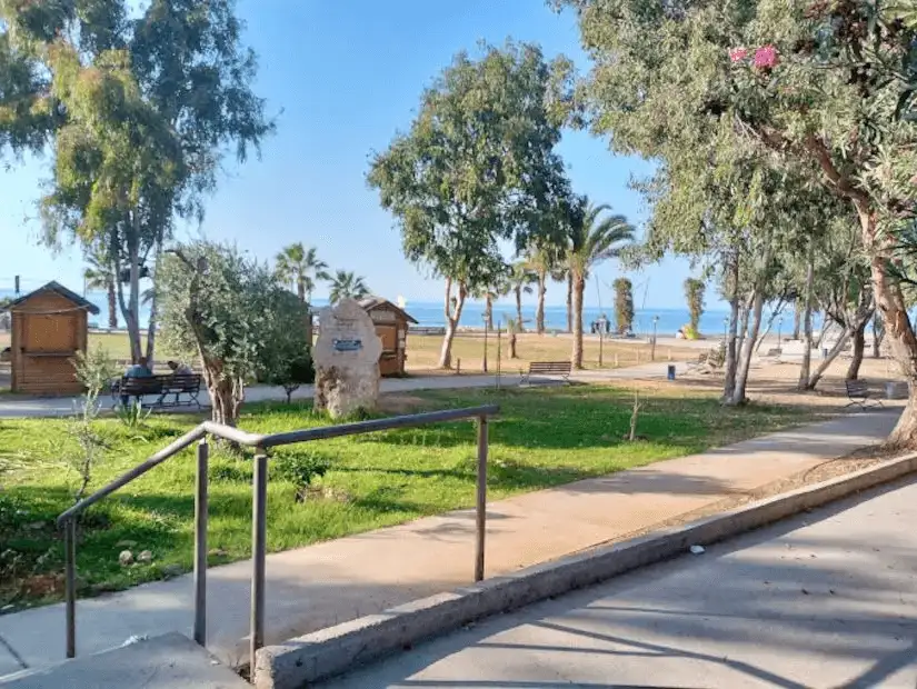 A coastal park with palm trees and a relaxing view of the sea in the distance.