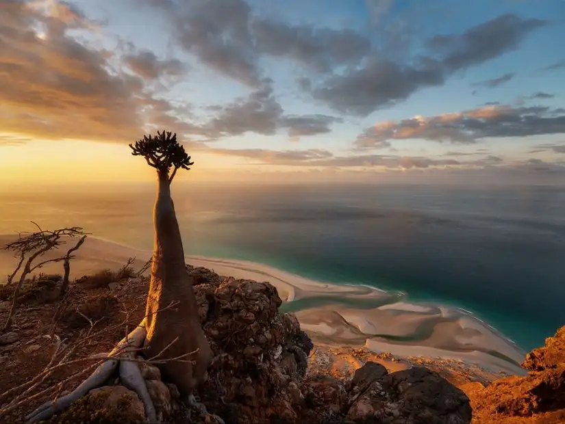 socotra.jpg