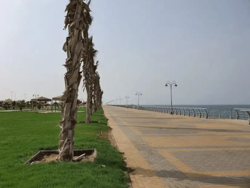 A long, palm-lined promenade stretching along the seaside, perfect for a peaceful walk by the ocean.