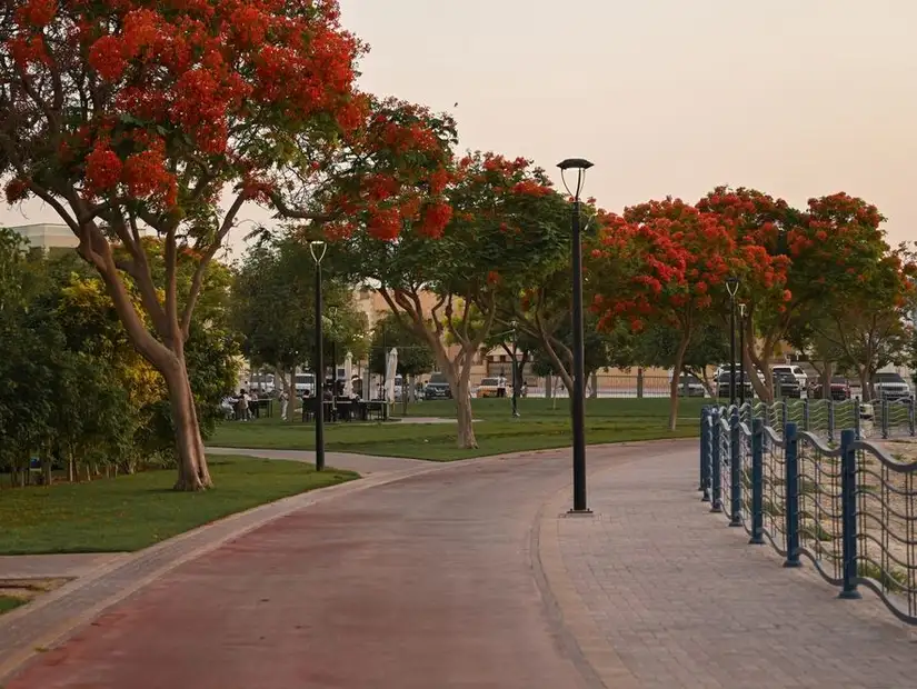 stroll_along_dubai_marina.jpg