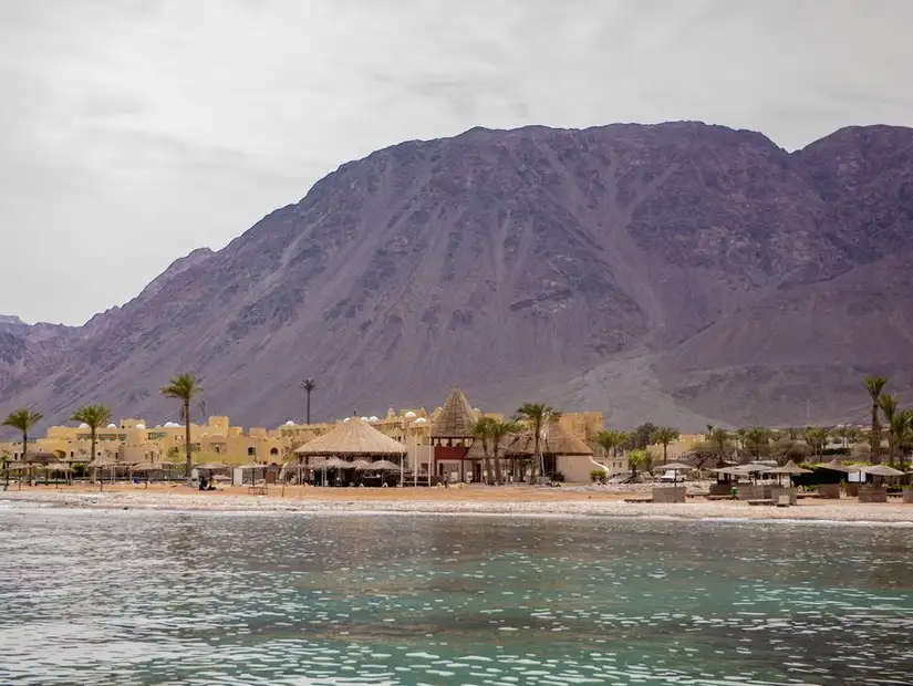 طابا (2).jpg
