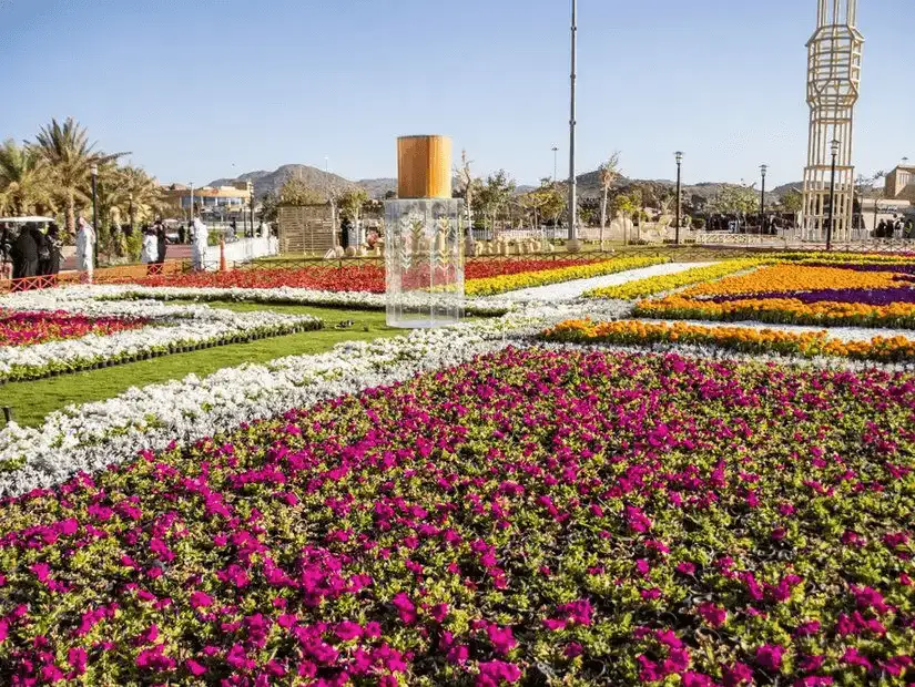 A vibrant display of colorful flowers in a well-maintained garden.