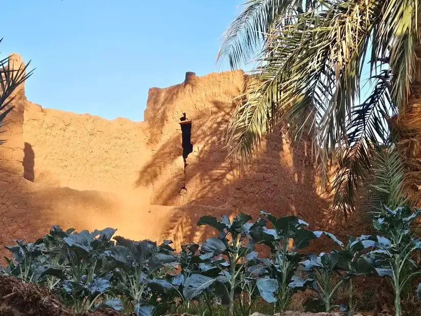 timimoun-algeria